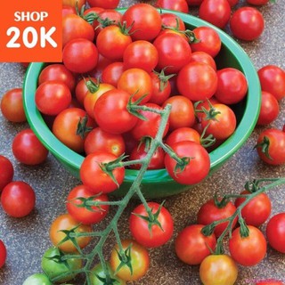 Gói 20 HẠT GIỐNG CÀ CHUA BI ĐỎ LÙ