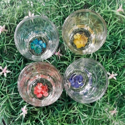 Ly thủy tinh Soju Hàn Quốc Nhập khẩu