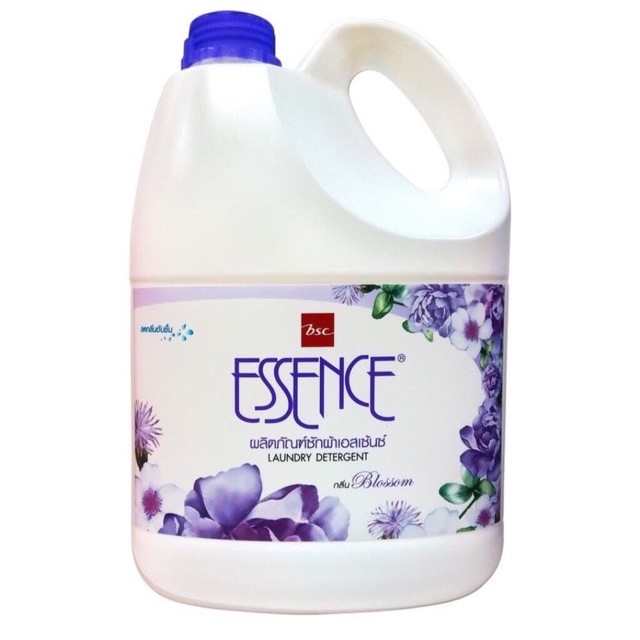 Nước giặt đậm đặc Essence 3.5L Hồng, Tím, Xanh Thailand