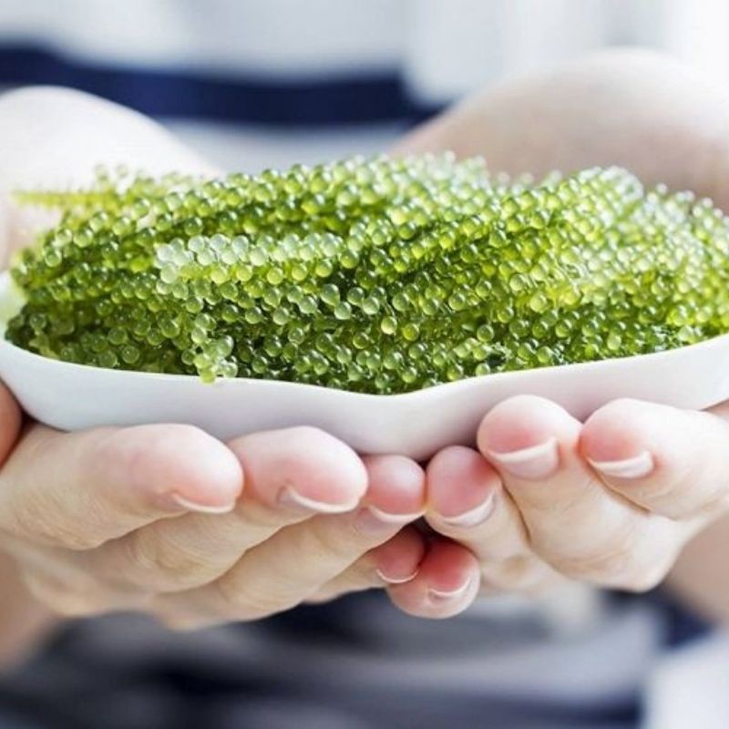 Rong nho tách nước Khánh Hòa gói lớn 100g ngâm nở thành 300g | BigBuy360 - bigbuy360.vn