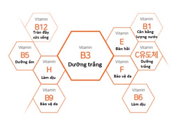 Toner Dưỡng Trắng Da Vitamin C Some By Mi Galactomyces 200ml Chính Hãng | BigBuy360 - bigbuy360.vn