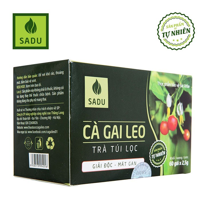 Cà Gai Leo Sadu Trà Túi Lọc 150g - Hộp 60 túi lọc x 2.5g