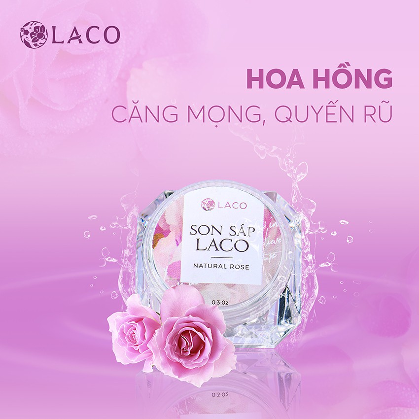 Combo 2 Hộp Son Sáp LACO Mờ Thâm Từ Hoa Hồng Tươi Dưỡng Hồng Môi Giúp Môi Căng Mướt - LAVAHA SHOP