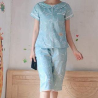 (Freeship99k) Bộ mặc nhà kate hàn