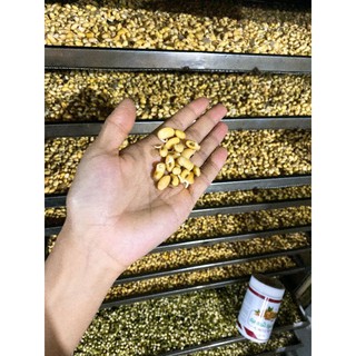 MẦM NGŨ CỐC LỢI SỮA - ĐẸP DA, ĐẸP TÓC