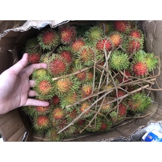 Chôm Thái 40k/kg