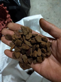 Vỏ Thông Xay bao