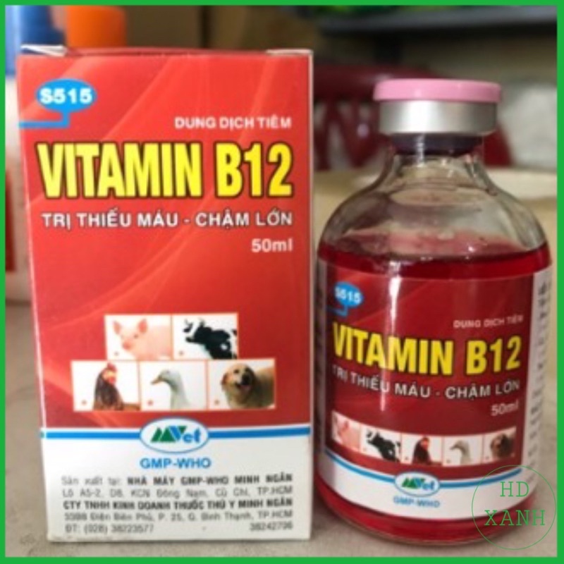 vitamin b12 giải độc cho cây 50ml