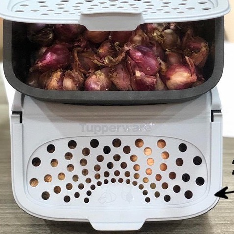 hộp trữ hành , tỏi tuppweare new ( 1 hộp ) | BigBuy360 - bigbuy360.vn