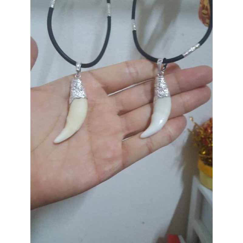 Nang sói bọc bạc