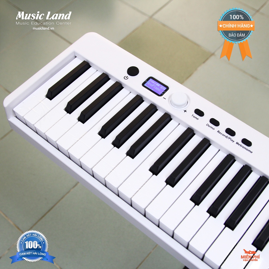 Đàn Piano Điện Terence BR-02 – Chính Hãng NoBrand