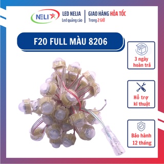 Dây led 50 bóng F20 Full màu 8206 tự chạy hiệu ứng không cần mạch điều khiển.