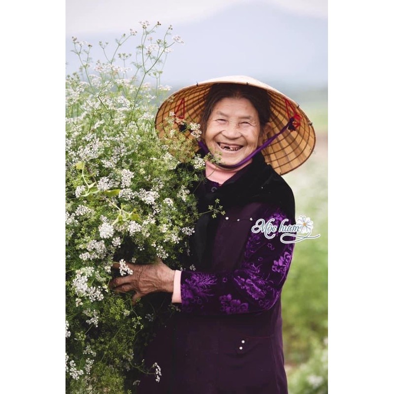 NƯỚC TẮM MÙI GIÀ - NƯỚC TẮM GIAO THỪA MỘC HƯƠNG | BigBuy360 - bigbuy360.vn