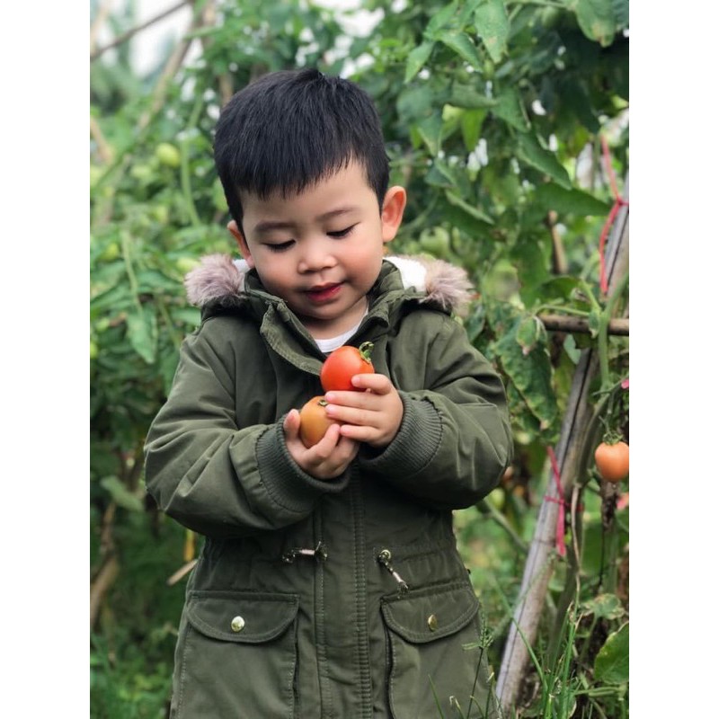 Parka xanh rêu