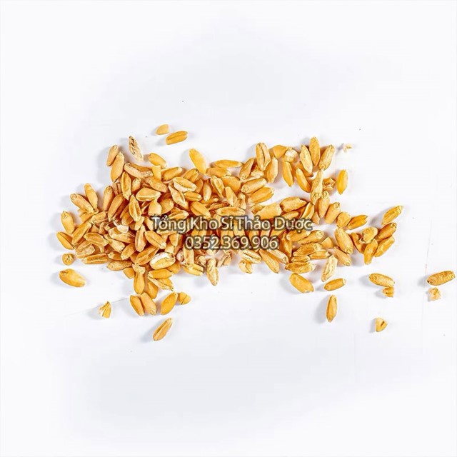 Lúa Mì 500g