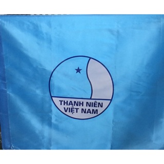 Cờ Hội LHTN Việt Nam
