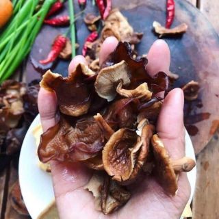 Nấm hương rừng tây bắc