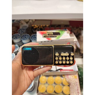 Đài tụng kinh, máy niệm phật kèm thẻ nhớ 8g