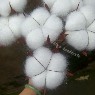 Sỉ hoa bông gòn handmade (cotton flower)