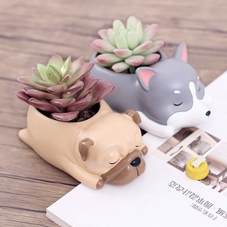 Chậu trồng cây hình thú cưng siêu dễ thương