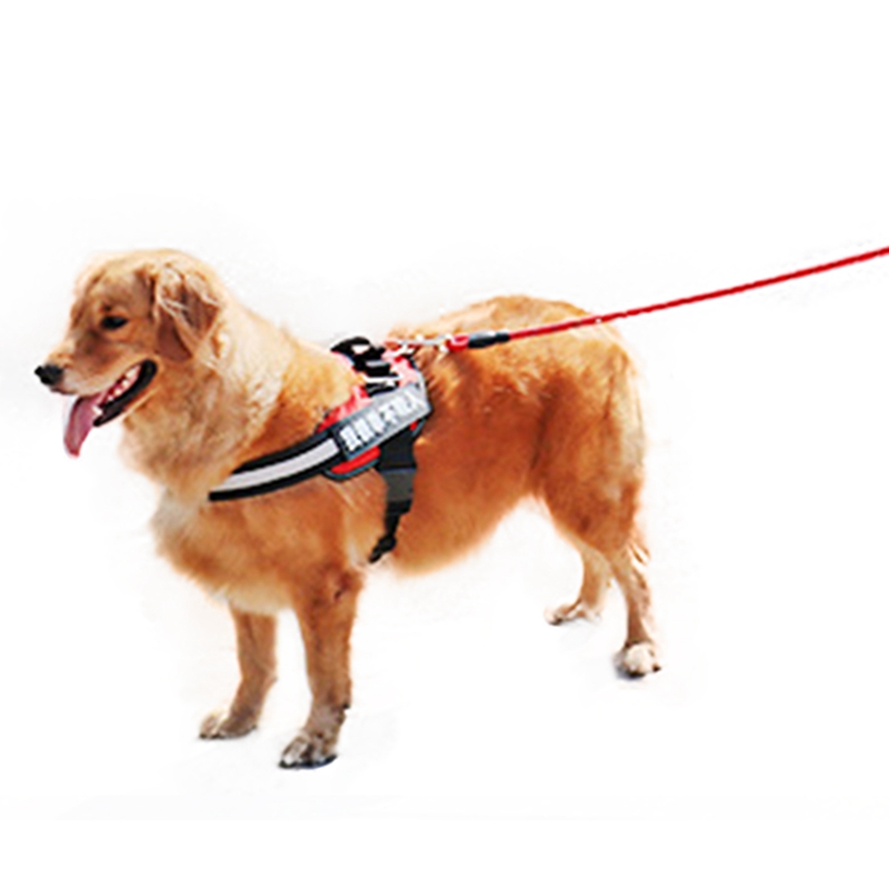 XjDây Buộc Dùng Dắt Thú Cưng Đi Dạo Tiện Lợi