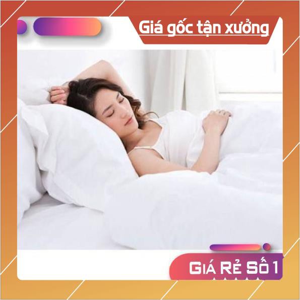 Ruột gối hơi cao cấp, gối bông siêu êm vikona (size: 40x60, 45x45, 50x70, 35x100 )