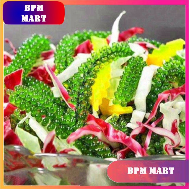 Rong Nho Tách Nước Khánh Hoà 25Gr - [FREESHIP] - Công Nghệ Tách Nước Tiêu Chuẩn Nhật Bản | BigBuy360 - bigbuy360.vn