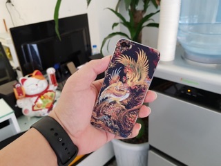 Miếng Dán Cho Iphone 5s (1)