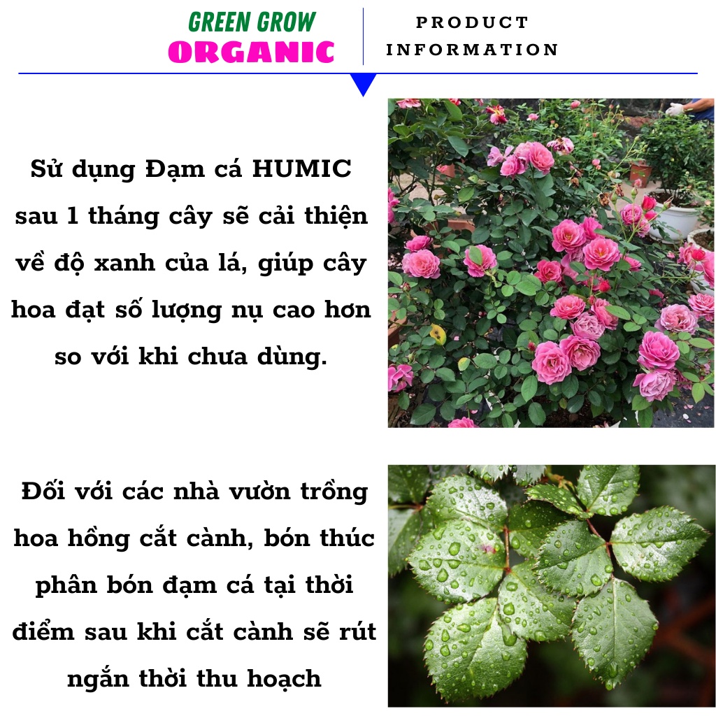 Phân bón đạm cá humic GREEN GROW ORGANIC phân cá hữu cơ kích rễ cho hoa hồng rau sạch can 5 lít MS134