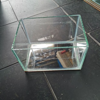 Hồ cá mini nuôi betta, guppy, hồ để bàn, hồ thủy sinh