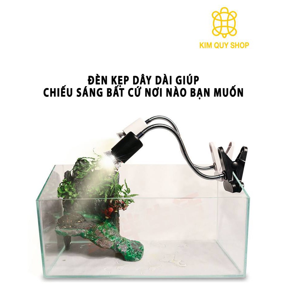Kẹp đèn dài dành cho bò sát