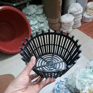 10 Chậu trồng lan 20cm siêu dày