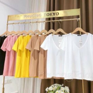 combo áo phông cổ tim