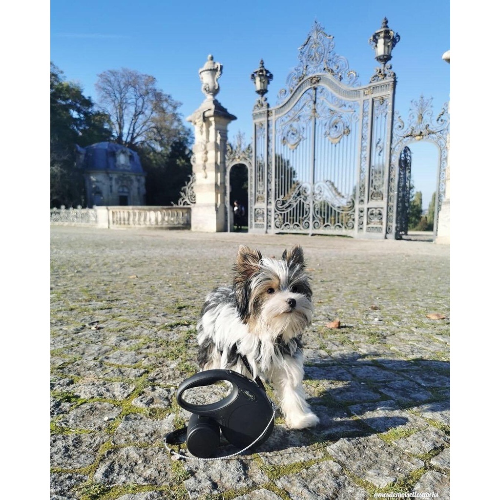 Flexi Dây xích dắt tự động các dòng New Classic / New Comforter chiều dài 5 m / 8 mét phù hợp chó &lt;12KG / 20KG / 50KG