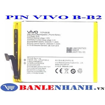 PIN VIVO B-B2