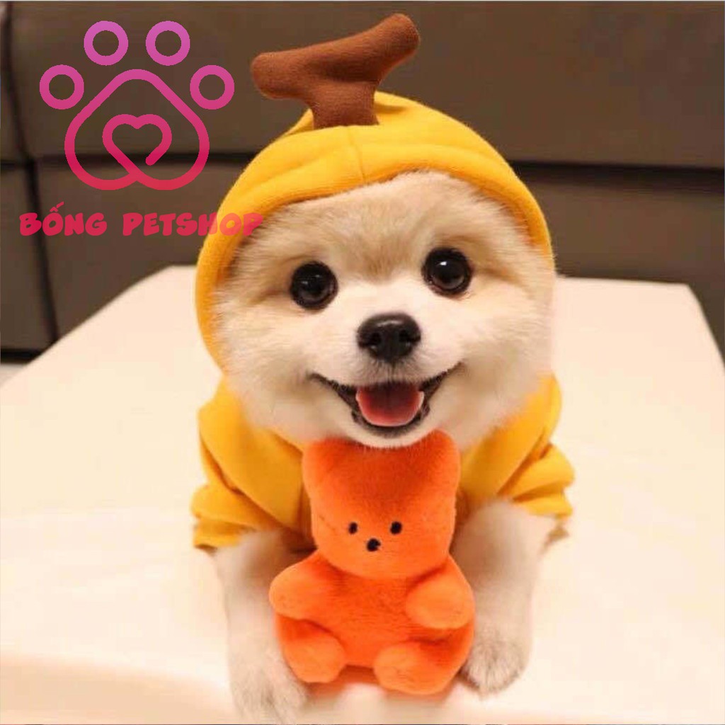 Áo nỉ hoodie cosplay hoa quả siêu đáng yêu - Bộ 2 chân cho thú cưng - Áo nỉ có mũ cho chó mèo