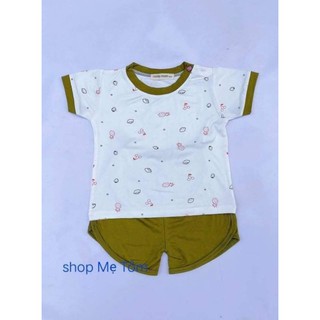 Bộ thun lạnh Minky mom cộc tay