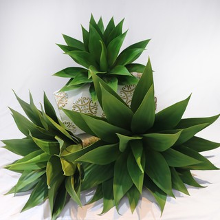 Cây giả Decor - Cây dứa rừng Nam Phi (không kèm chậu)