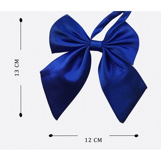 Nơ Nữ , Nơ Nữ Công Sở Cao Cấp