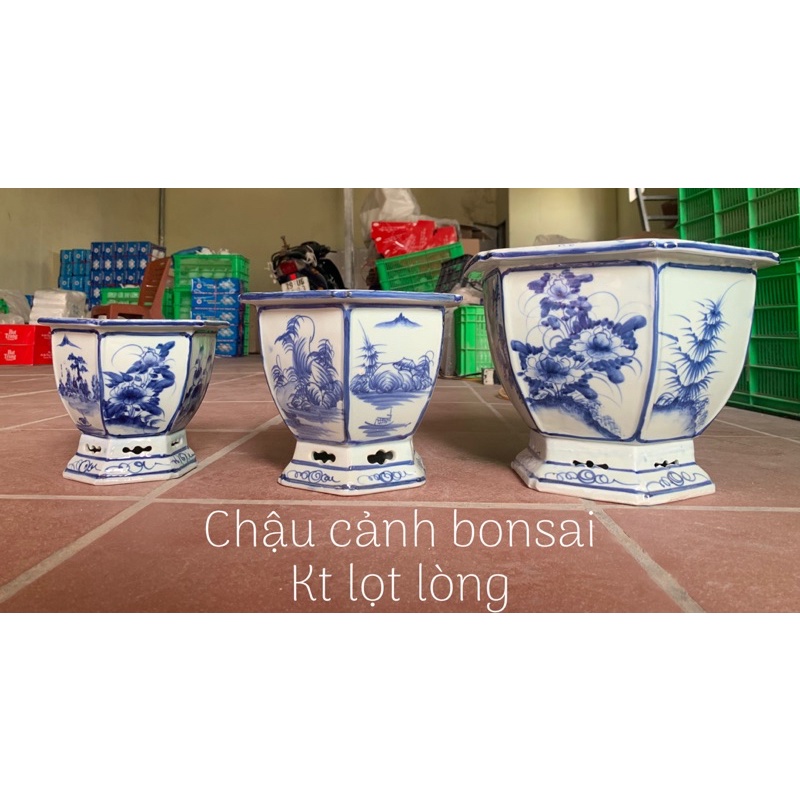 Chậu trồng cây bonsai men lam cung đình Huế