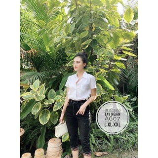 Sơ mi trắng bigsize 55-85kg