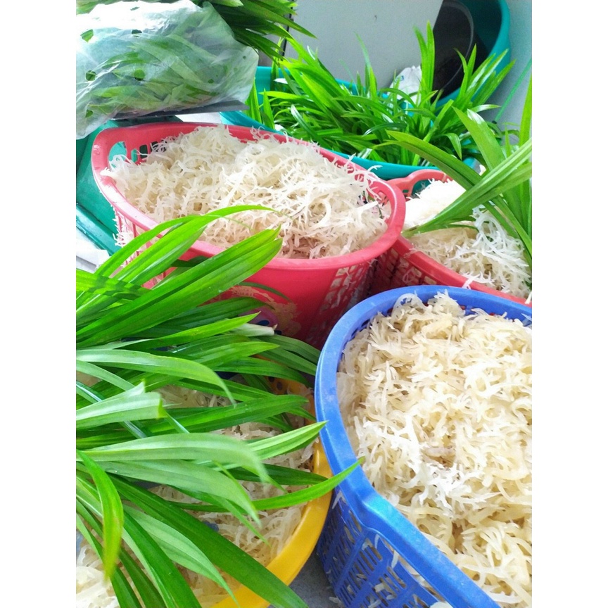 500gr Rong sụn gai tươi muối tinh dùng làm gỏi hàng loại 1 chất lượng cao bao sạch