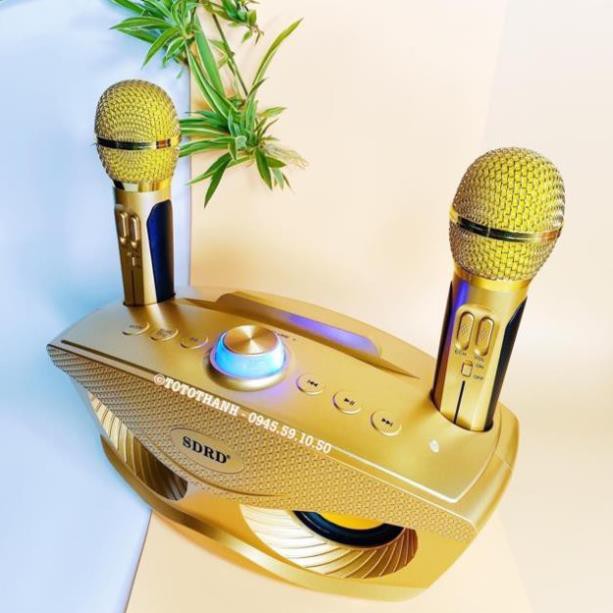 Loa karaoke mini di động SD-306 loa hát karaoke đa năng + Tặng Kèm 2 Mic Không Dây