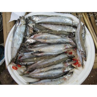 Cá trứng (Cá trứng Na uy, Cá trứng Nhật) - Ship HCM siêu tốc 1-2h