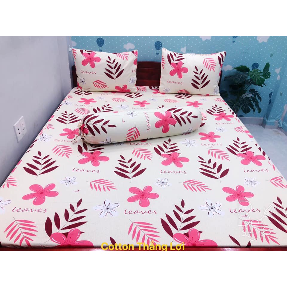 bộ drap cotton Thắng Lợi chuẩn logo đủ size