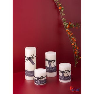 Nến Trụ Ctus Candle