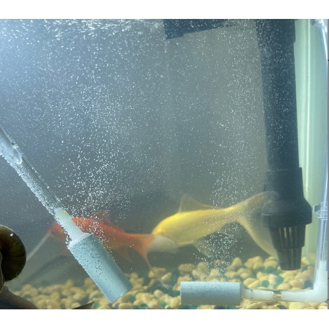 đầu sủi khí co2 giá rẻ( không dùng được cho máy oxi)- quả sủi co2 sử dụng cho bình chế cung cấp co2 cho bể thủy sinh