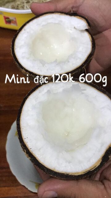 DỪA SÁP MINI COMBO 2 TRÁI NGON RẺ