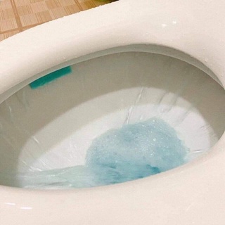 Miếng dán khử mùi bồn cầu hiệu con vịt Thái Lan