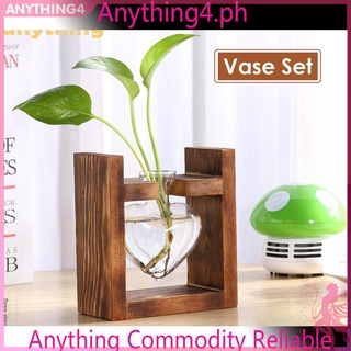 Khung gỗ trồng cây dùng trang trí văn phòng/nhà cửa